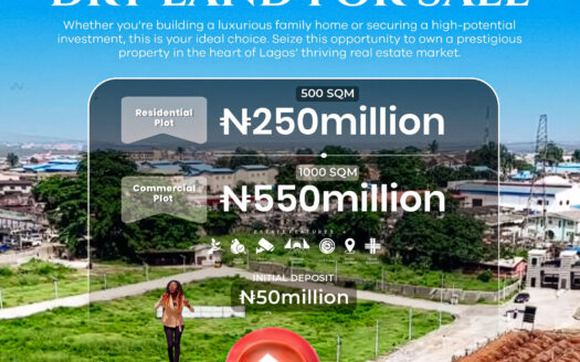 Premium Dry Land for Sale in Omole Phase 2, Lagos